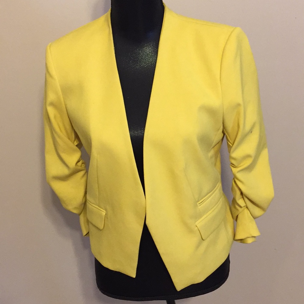 Springtime Yellow Jacket